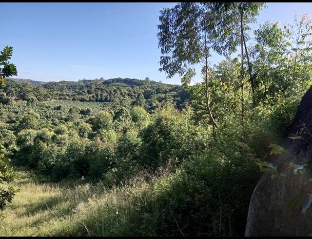 FARM FOR SALE IN RAMSGATE